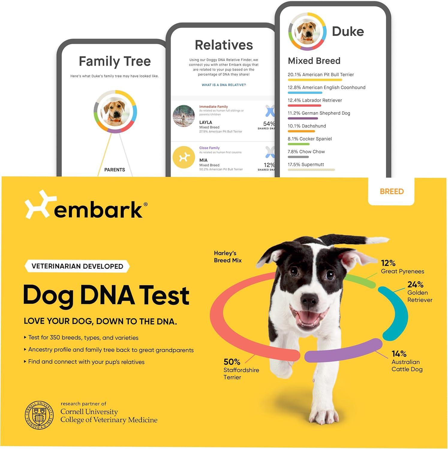 Unbeatable Dog DNA Tests Showdown... Wait, That's Surprising