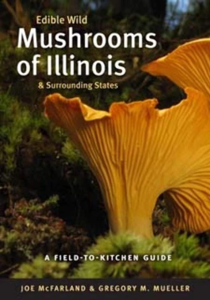 Illinois Mushrooms Showdown: Tested Wild Flavors, Field-to-Kitchen Edge… Easy!