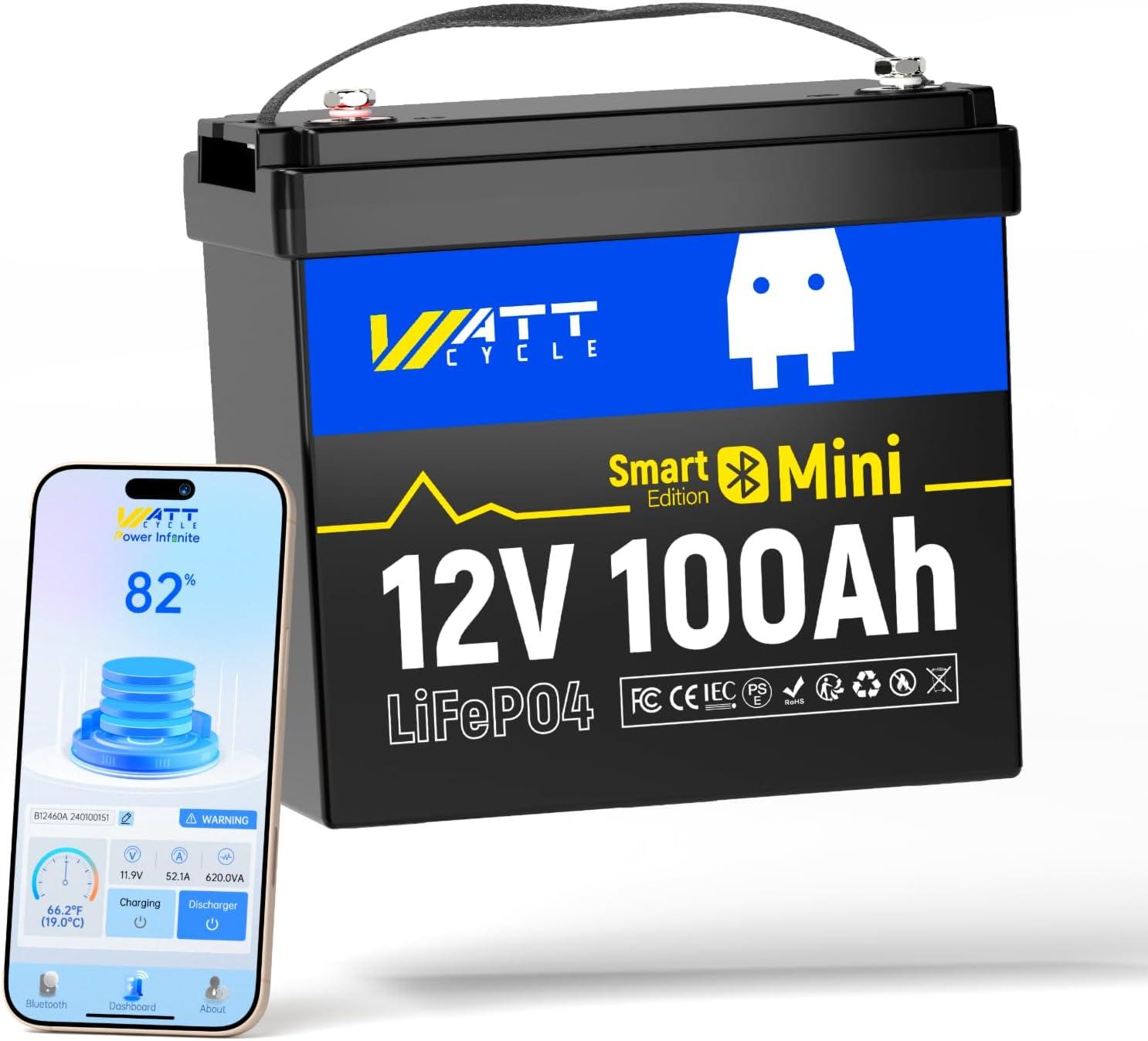 Bluetooth vs. Mini BMS: Surprising Insight for RVs... Compared