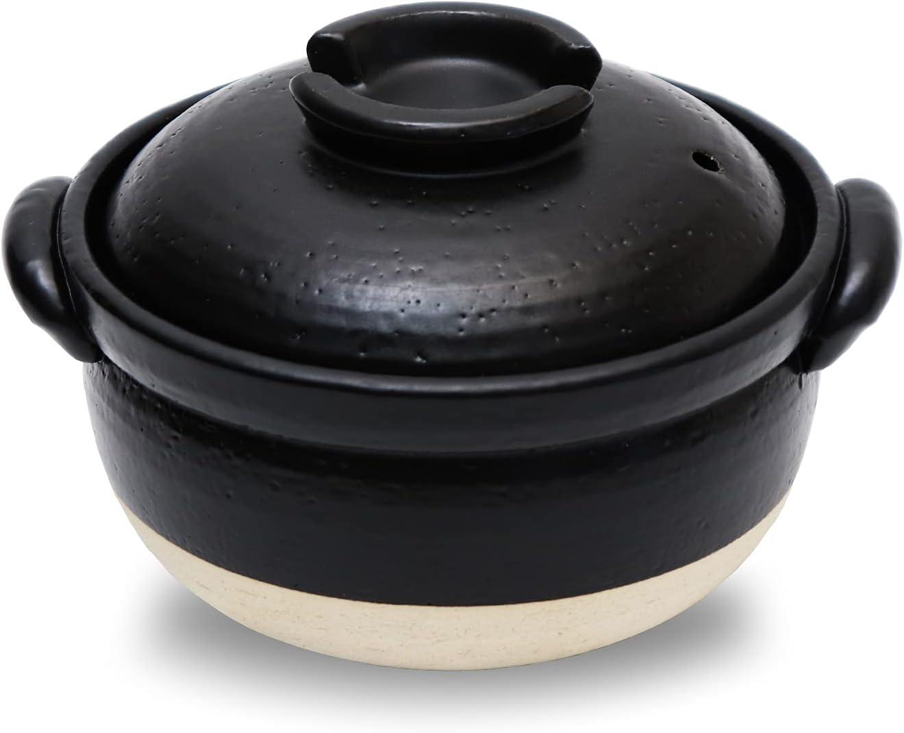 Microwave Rice Cooker Showdown: Versatile vs. Advanced Tested