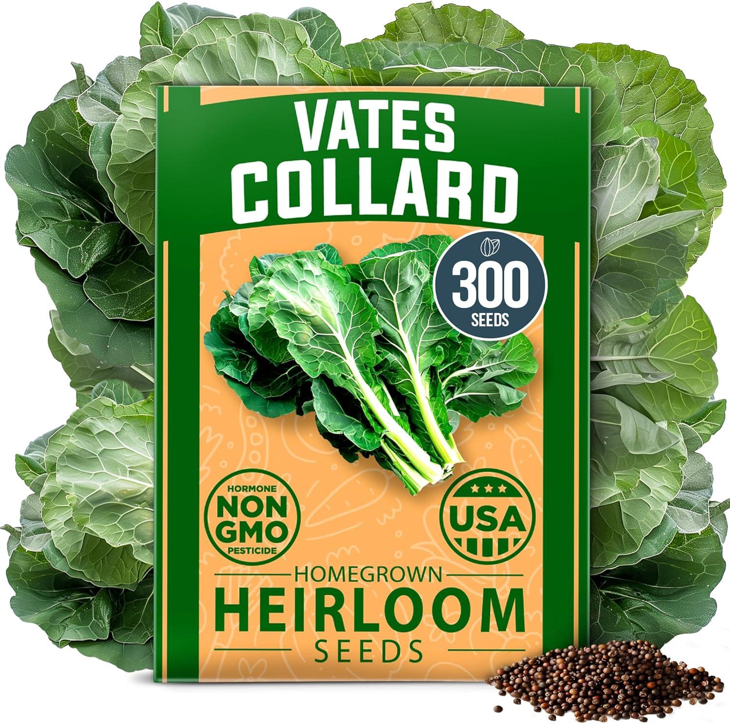 Tested Collard Green Perks: Flavorful, Easy Growing… Get Them Now!