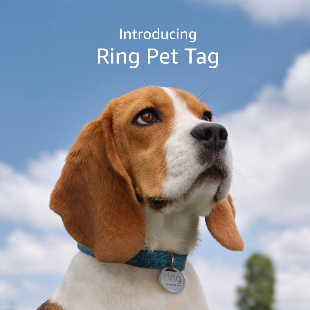 Ring Pet Tag Versus Collars: Tested QR Scan Tech, Free Profiles, No Fees… Why Choose?
