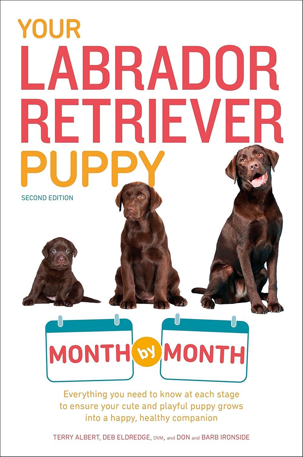 Labrador Book Showdown: Surprising Puppy Growth Insights, Month by Month… Trusted Advice vs. Tested Tips!