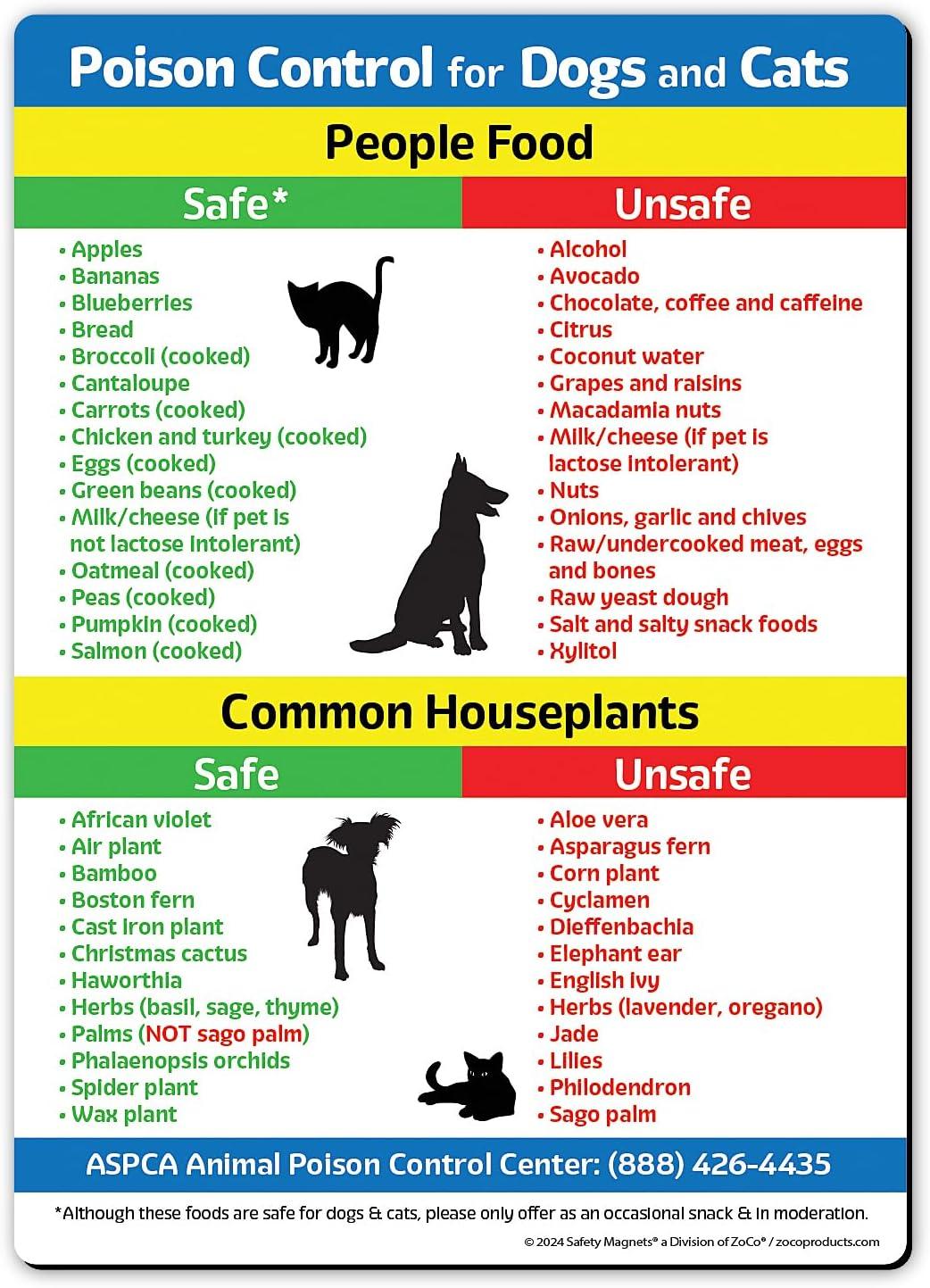 Safe Foods Versus Toxic... Showdown for Pets!
