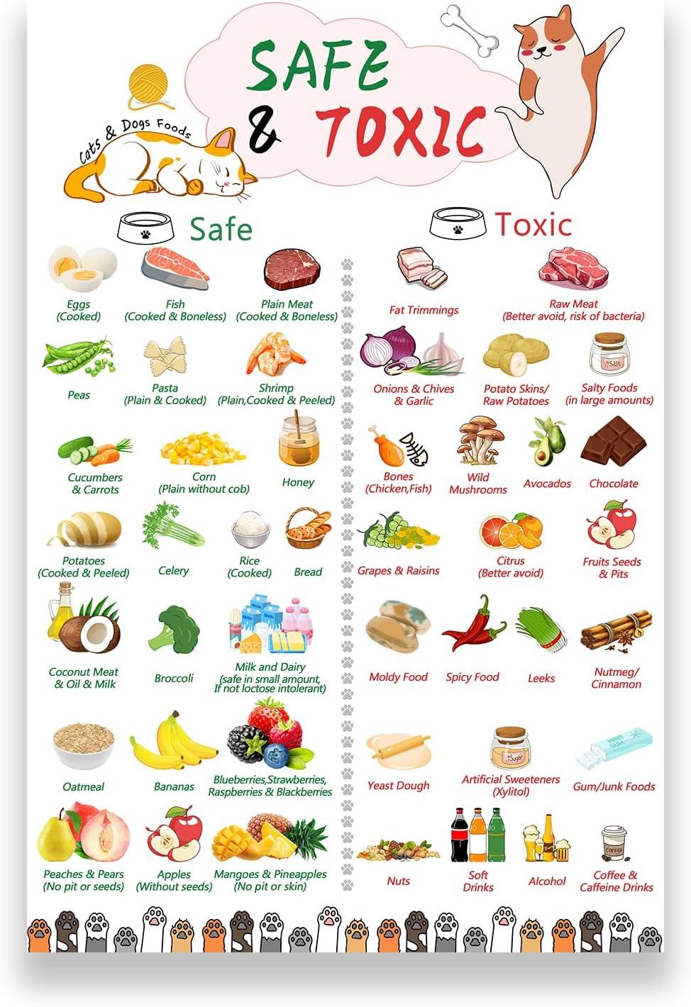 Magnetic Dog Food Guide: Tested Safety Essentials For Pets...Secure peace of mind with harmful food lists!